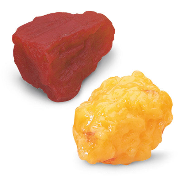 1-lb. Fat and 1-lb. Muscle Replicas