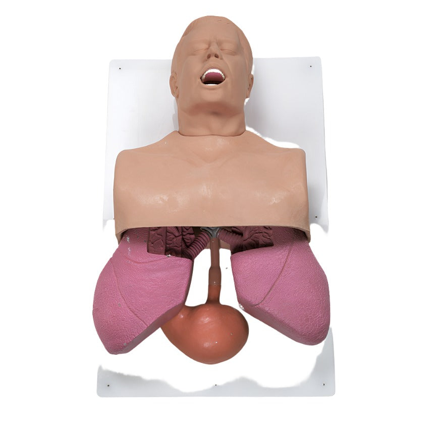  Nasco Healthcare-Adult Airway Management Trainer - Torso-MedTech-1