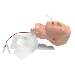 Adult Deluxe Airway Management Trainer