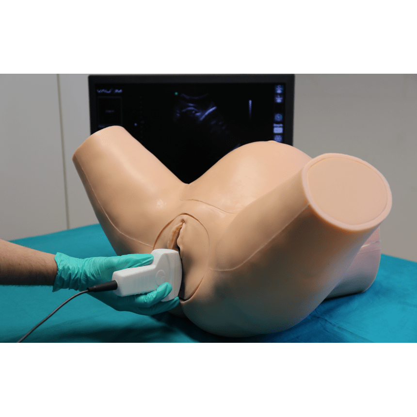 Advanced Ultrasound OBGYN Simulator