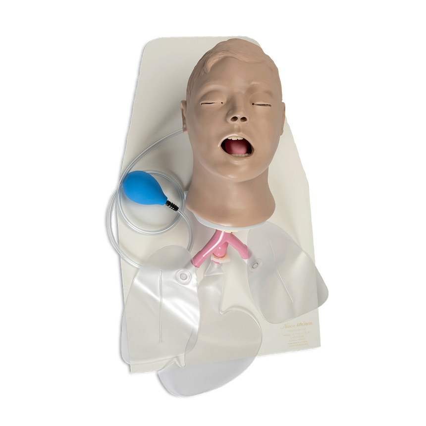 Airway Larry' Adult Airway Management Trainer with Stand