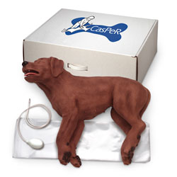  Nasco Healthcare-CasPeR The CPR Dog-MedTech-1