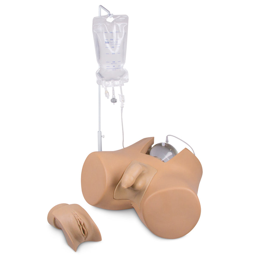  Nasco Healthcare-Catheterization Trainer with Male Genital Insert "Henri" and Female Genital Insert "Florence"-MedTech-1