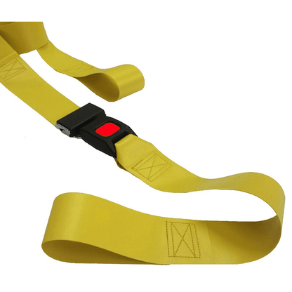 DMS BioThane® G1 Restraint Straps, 2 piece, Metal Loop Ends, 7' X 2"