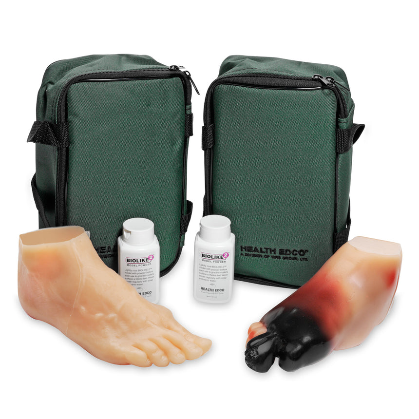  Nasco Healthcare-Diabetic Foot Model Set-MedTech-1