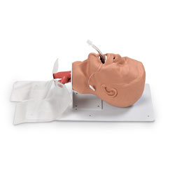 Economy Adult Airway Management Trainer.