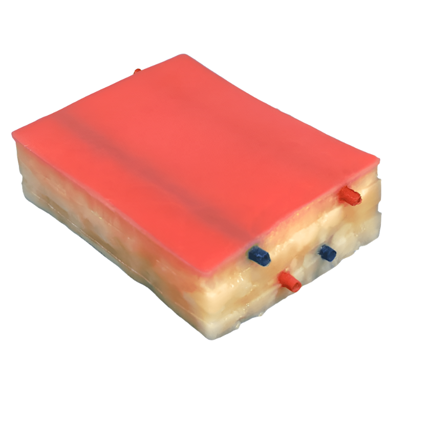 Embedded Biopsy Pad Model