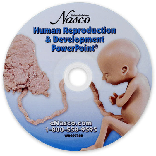  Nasco Healthcare-Fetal Development PowerPoint®-MedTech-1