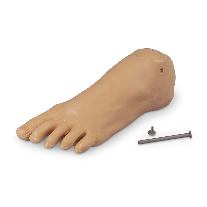  Nasco Healthcare-Foot, Left Replacement-Adolescent-MedTech-1