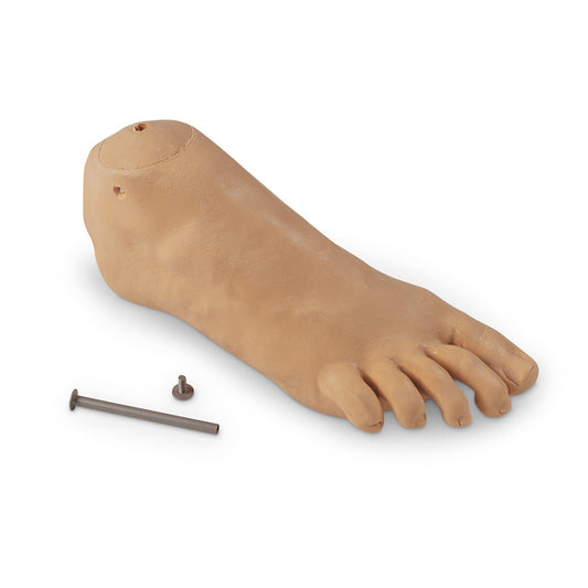  Nasco Healthcare-Foot, Right Replacement-Adolescent-MedTech-1