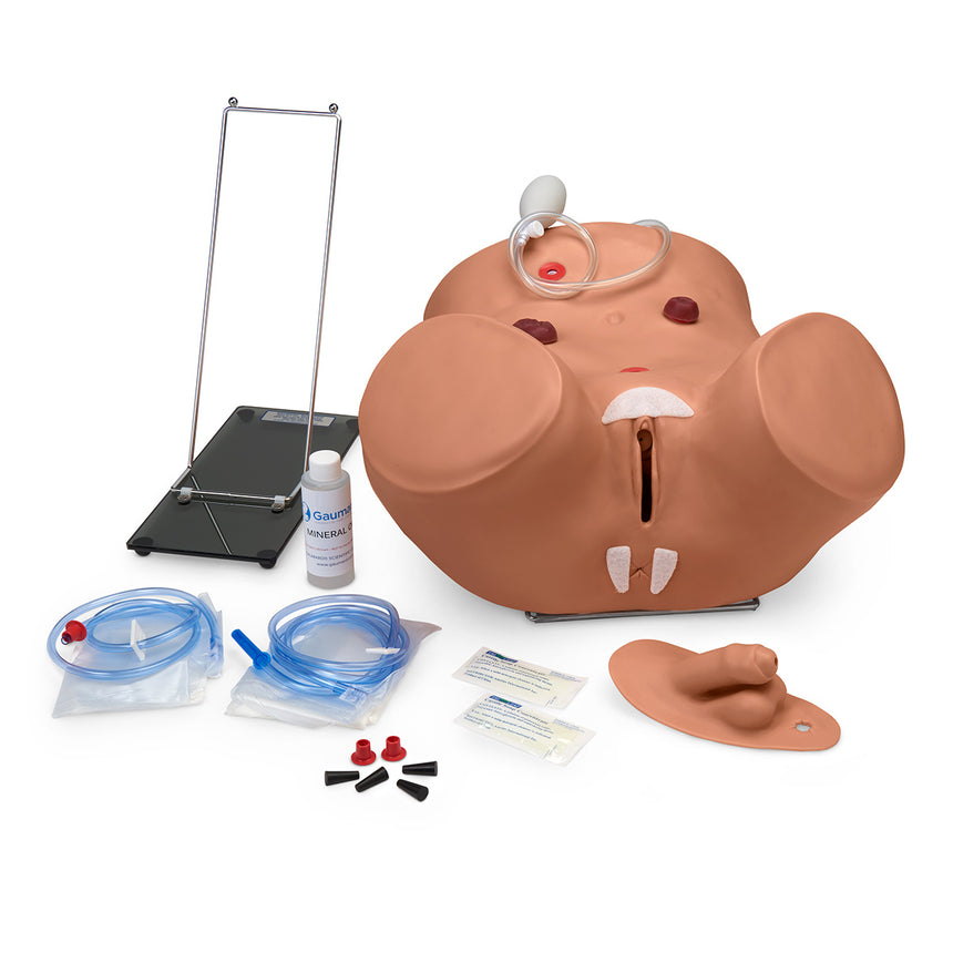 Gaumard® Advanced Patient Care Male and Female Catheterization Simulator