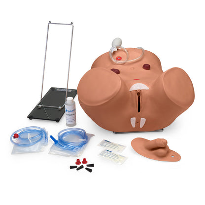 Gaumard® Advanced Patient Care Male and Female Catheterization Simulator