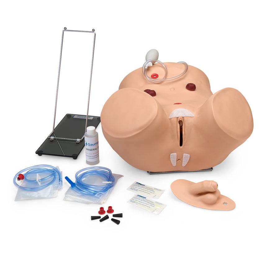 Gaumard® Advanced Patient Care Male and Female Catheterization Simulator