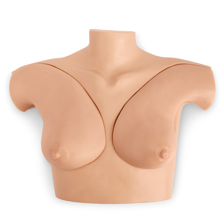 Gaumard® Breast Phantom Simulator