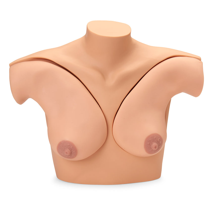 Gaumard® Breast Self-Examination Simulator