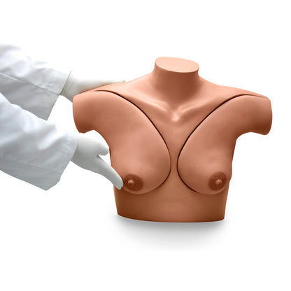 Gaumard® Breast Self-Examination Simulator