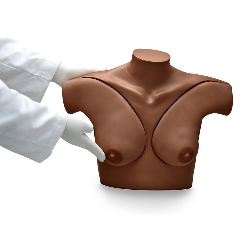 Gaumard® Breast Self-Examination Simulator