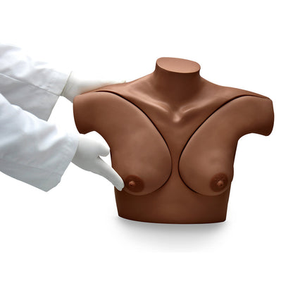 Gaumard® Breast Self-Examination Simulator