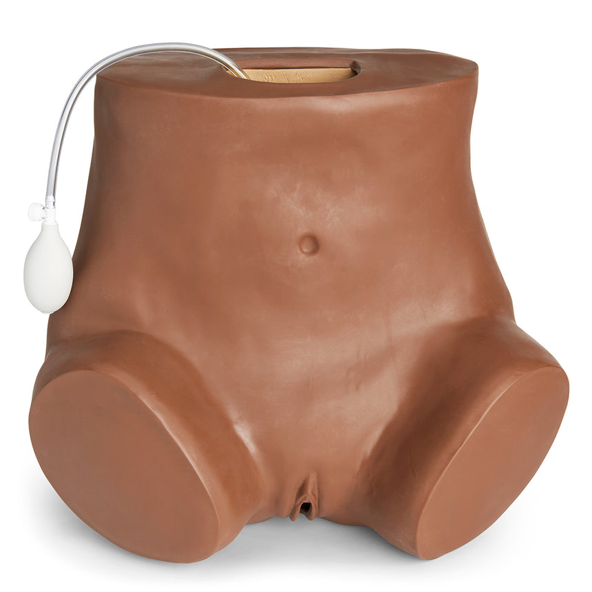 Gaumard® Gynecological Simulator