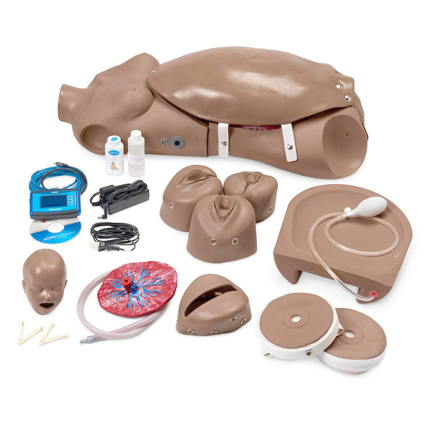  Nasco Healthcare-Gaumard® NOELLE® Maternal and Neonatal Birthing Torso-MedTech-2