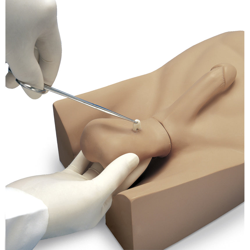  Nasco Healthcare-Gaumard® No Scalpel Vasectomy NSV Model-MedTech-2