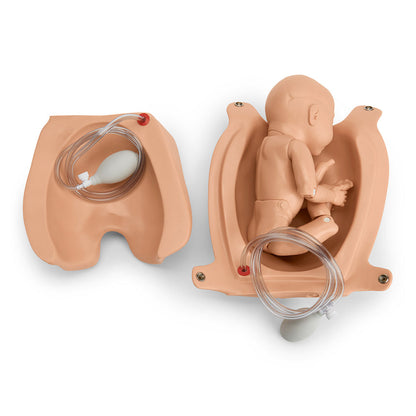 Gaumard® Susie® Articulating Newborn for Leopold's Maneuvers and Birthing Exercises - 16-1/2 in.