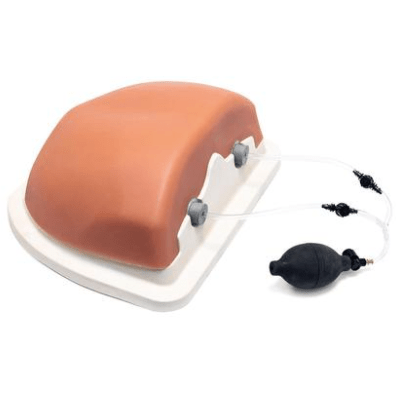 Image Guided Thoracic Spinal Injection Trainer