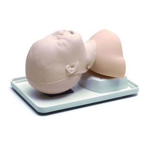 Infant Airway Management Trainer