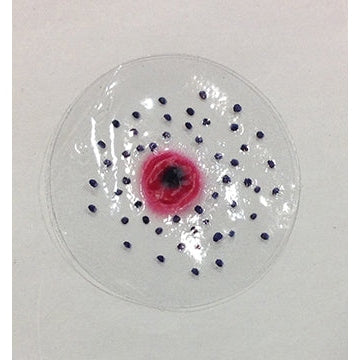  Nasco Healthcare-Intermediate Range Flake-MedTech-1