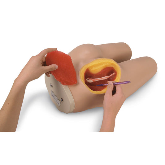 Intramuscular Injection - Simulator