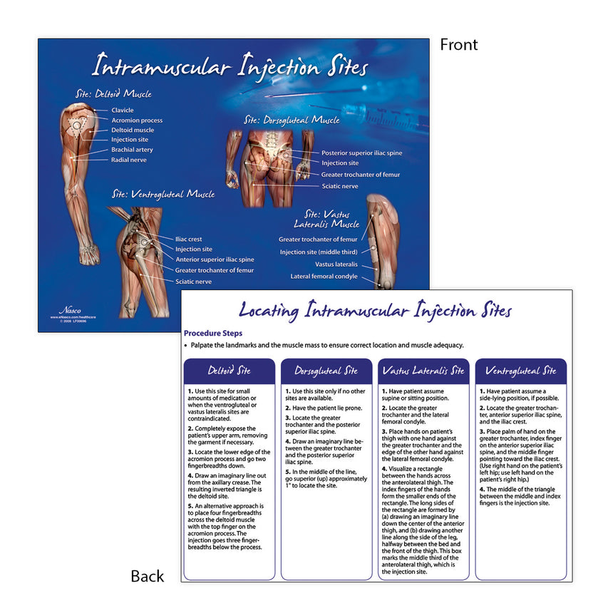 Intramuscular Injection Sites Display