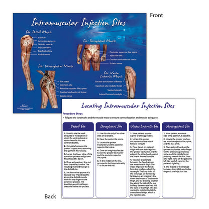 Intramuscular Injection Sites Display