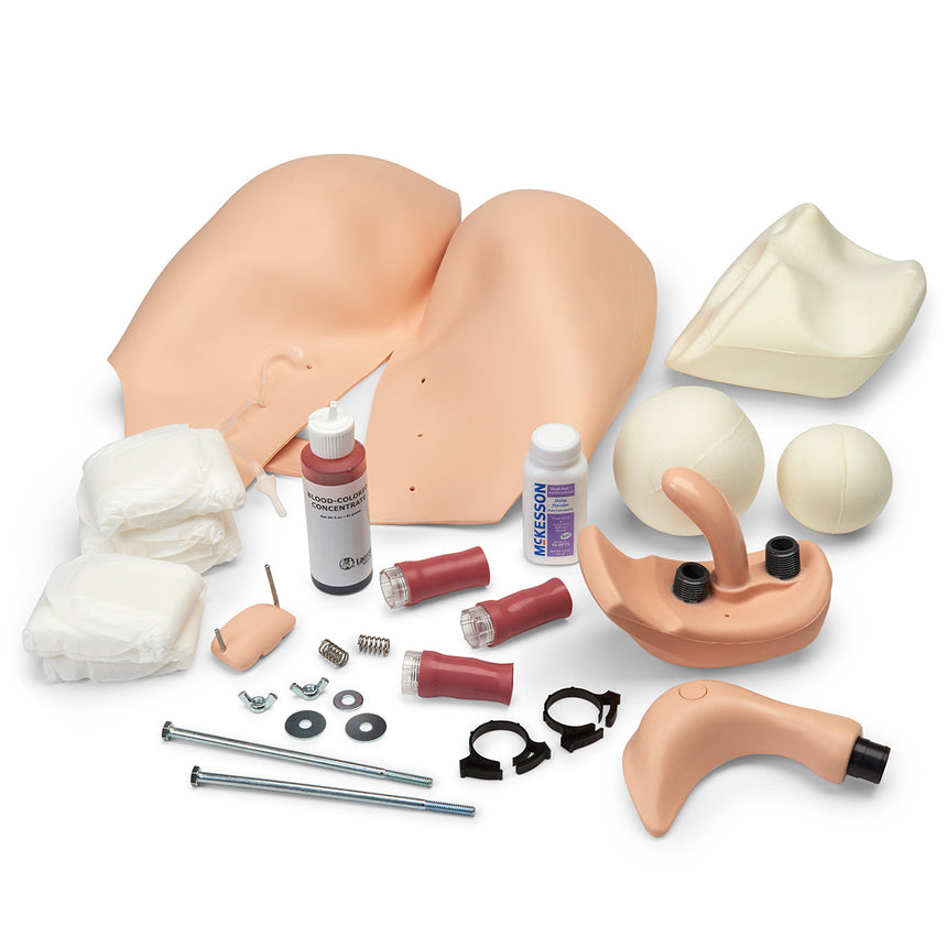 Laerdal® Fundus Skills and Assessment Module for Nursing Anne Manikins