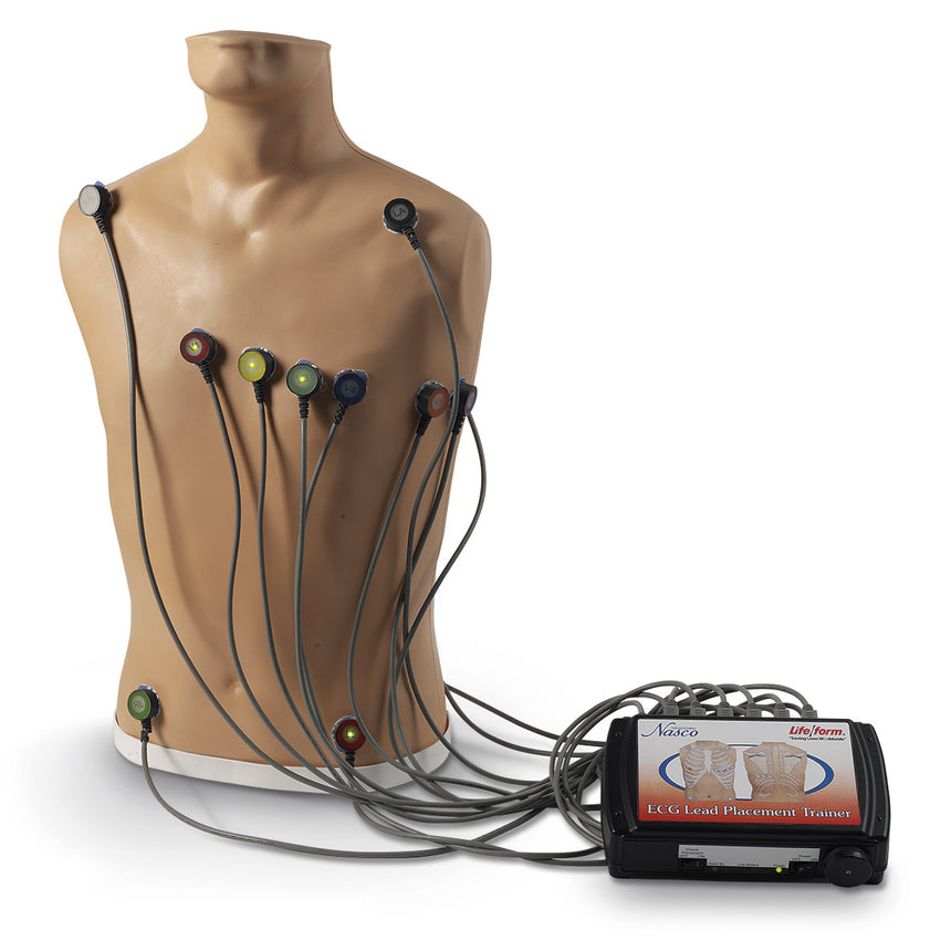 Life/form® 15-Lead ECG Placement Trainer