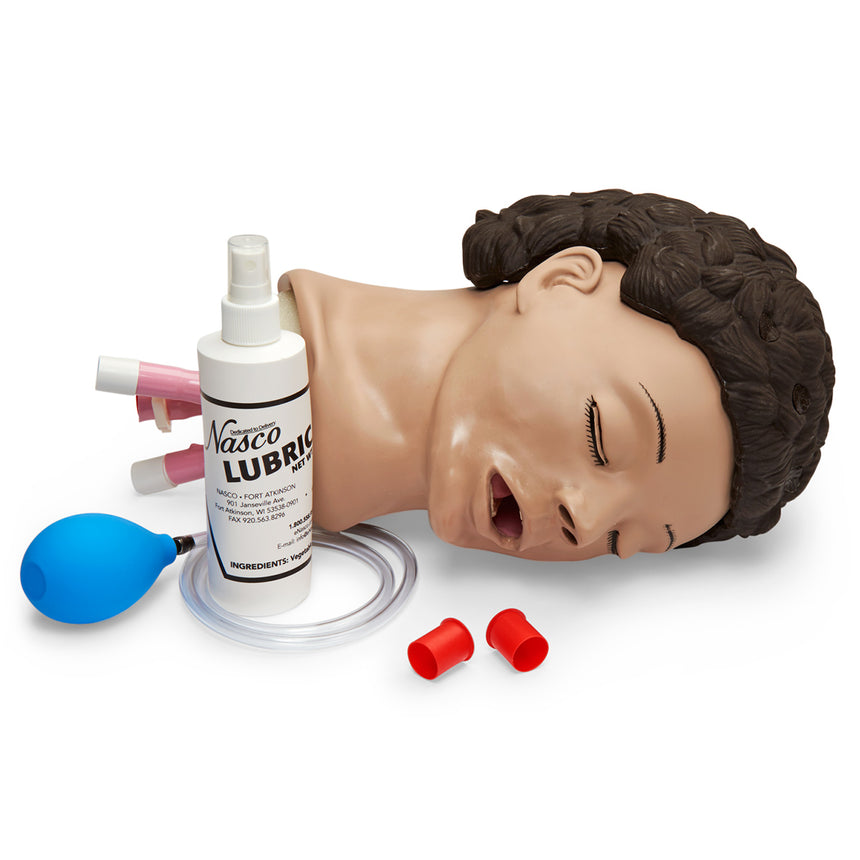 Life/form® Adult Airway Management Trainer, Head Only