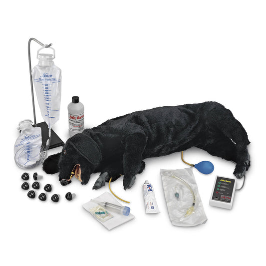 Life/form® Advanced Sanitary CPR Dog