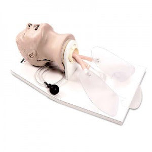 Life/form Airway Larry Airway Management Trainer