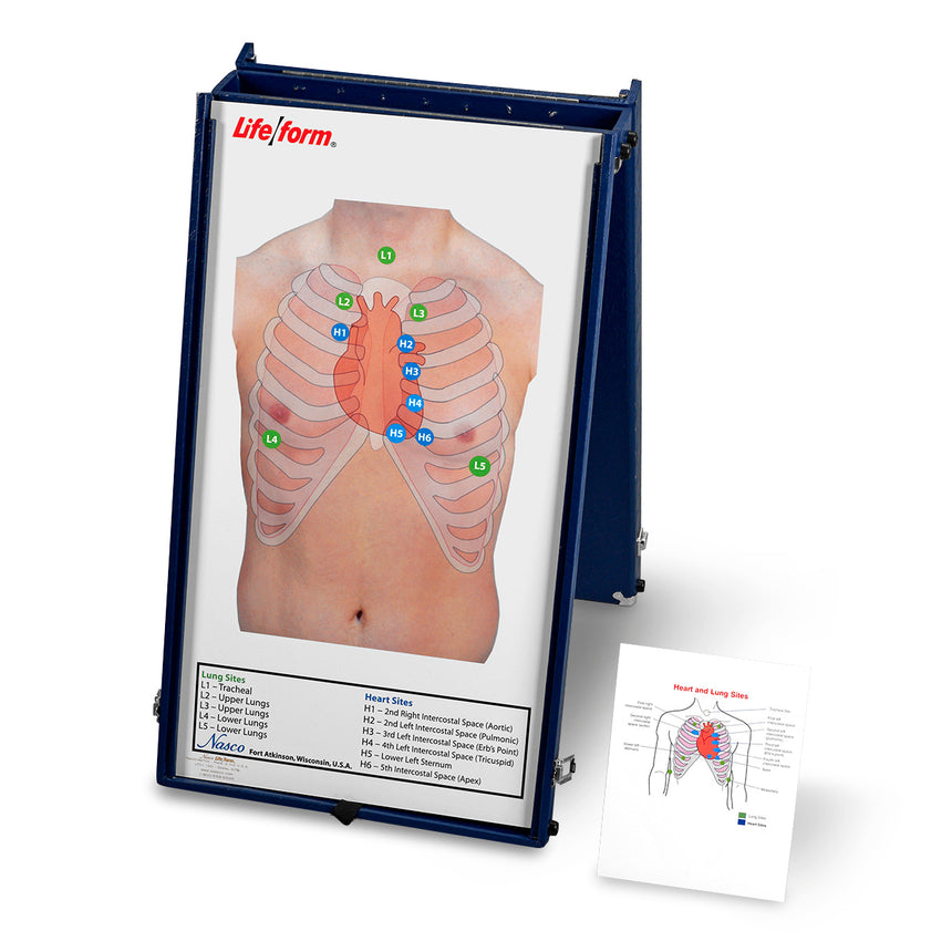  Nasco Healthcare-Life/form® Anterior Auscultation Practice Board with Case Only-MedTech-1