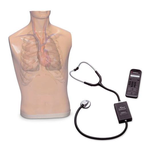 Life/form® Auscultation Trainer and Smartscope and Amplifier/Speaker System