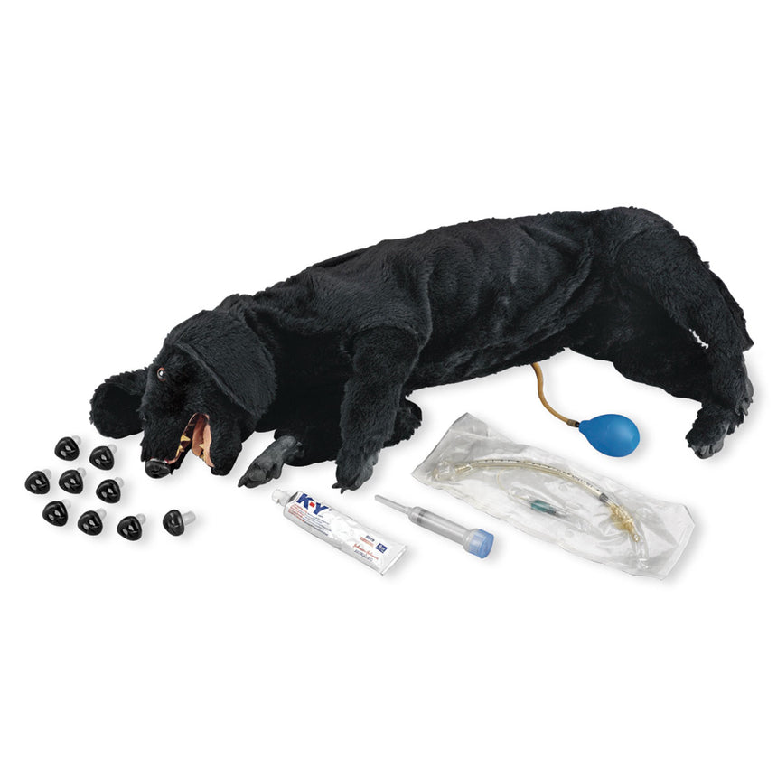 Life/form® Basic Sanitary CPR Dog