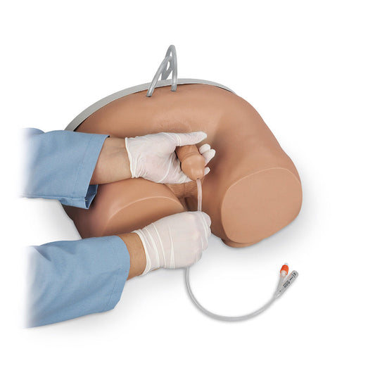 Life/form® Male Catheterization Simulator