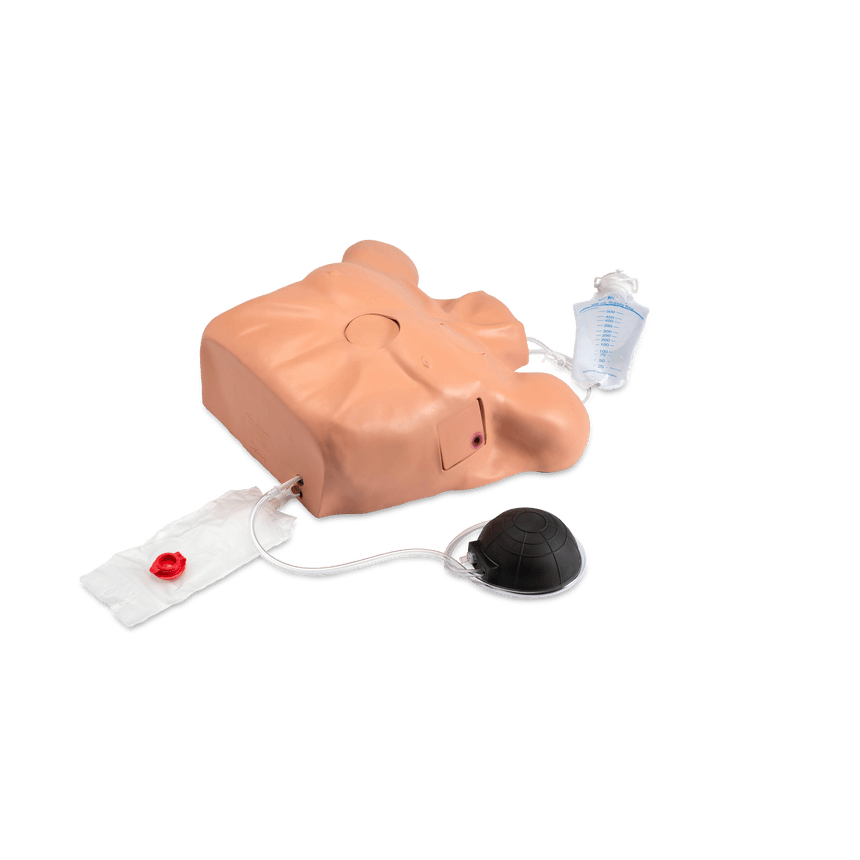 Life/form® Pericardiocentesis Simulator with Chest Tube and Pneumothorax