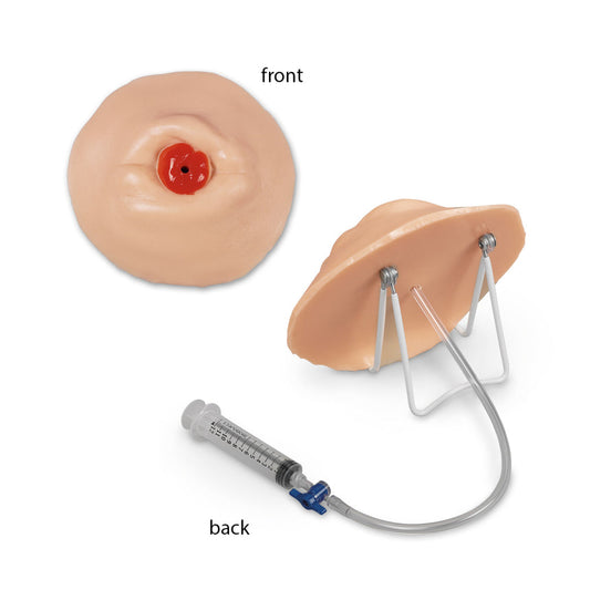 Life/form® Retracted Ostomy Care Training Model