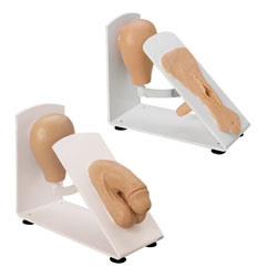 Male & Female Catheterization Trainer Set