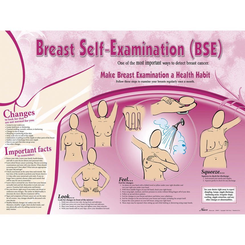 Nasco Breast Self-Examination Display