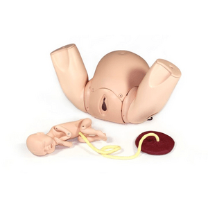 PROMPT Flex Birthing Simulator - Standard