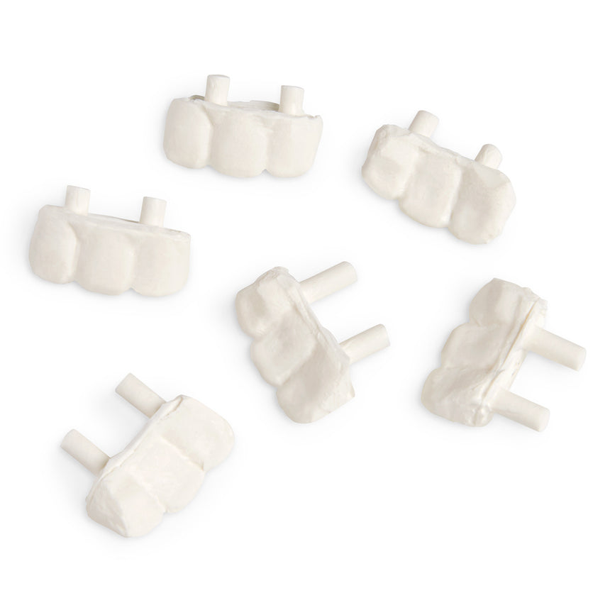  Nasco Healthcare-Patient Simulator STAT Replacement Teeth Set 3 Pack-MedTech-1