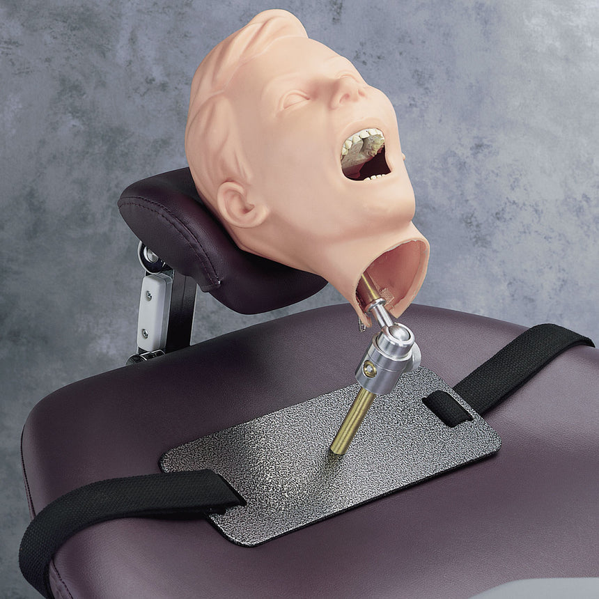 Pediatric X-Ray Dental Manikin