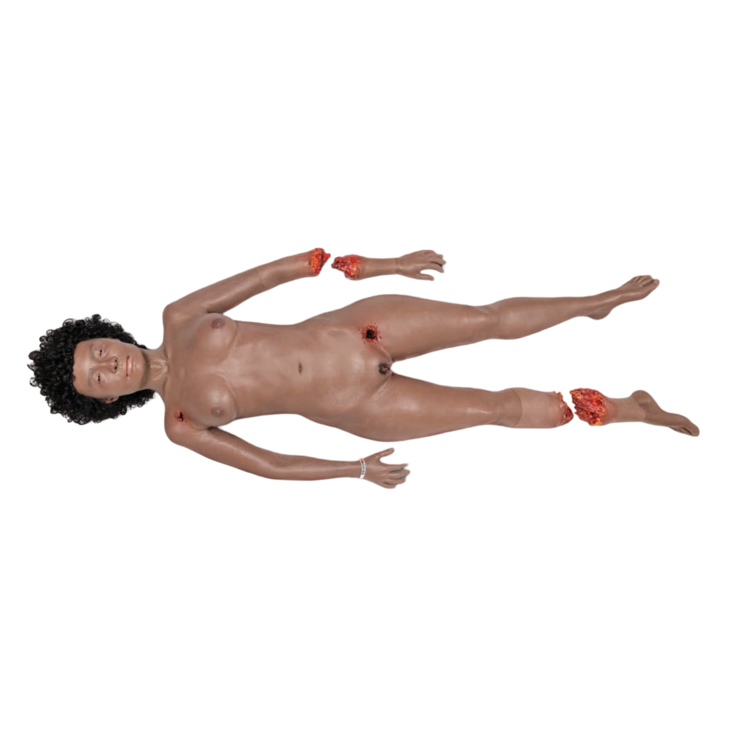 Safeguard Medical- SimBODIES Pro Adult Manikin-Medtech- 2