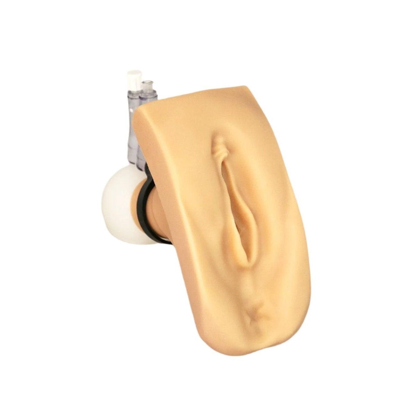 Wallcur- "Cathi" Female Catheterization Trainer-Medtech- 1